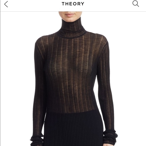 theory sheer turtleneck